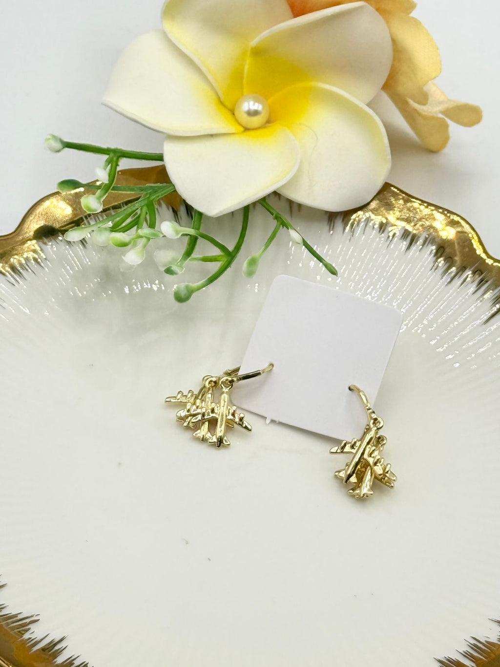 ARETES AISHA