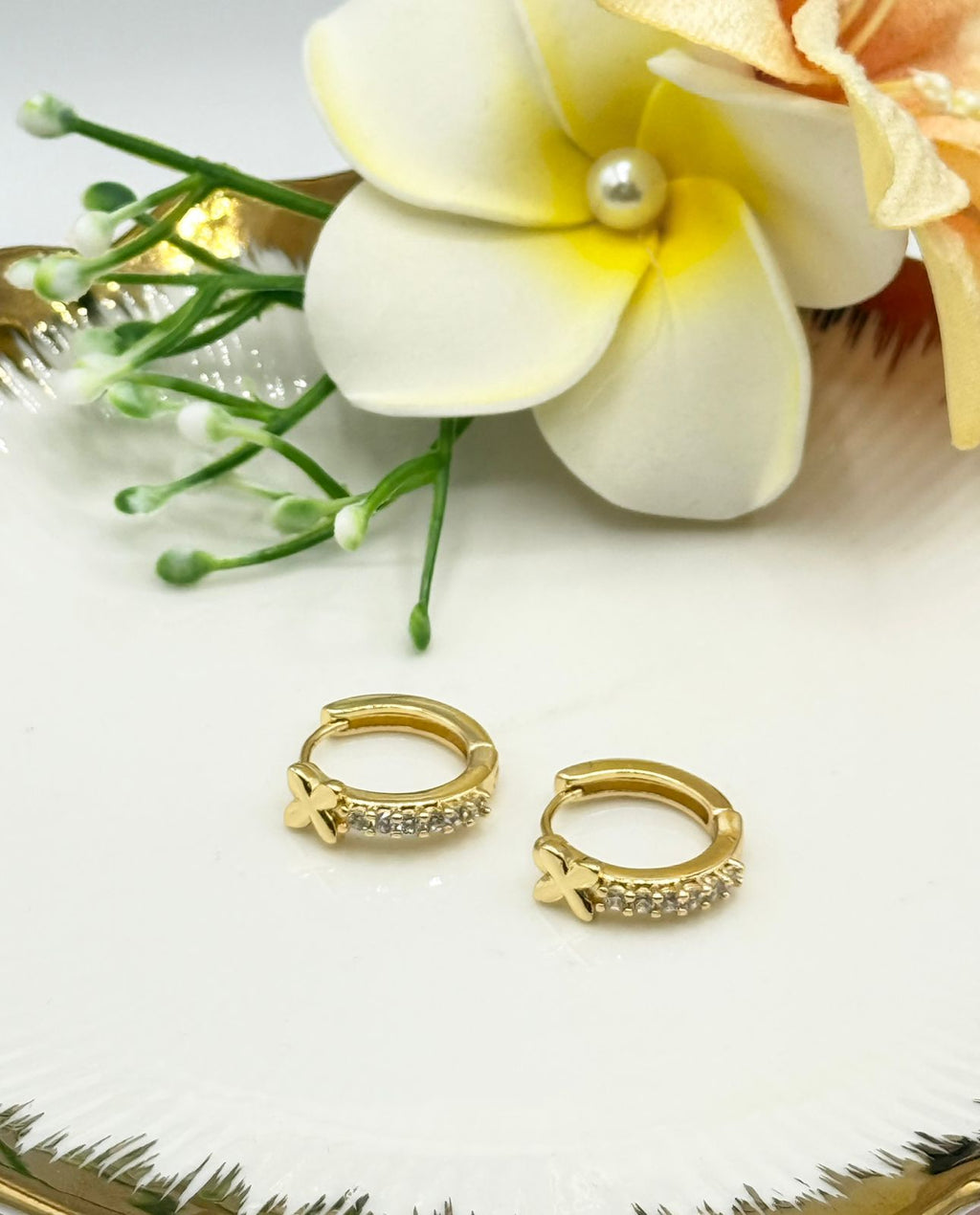 ARETES AISHA