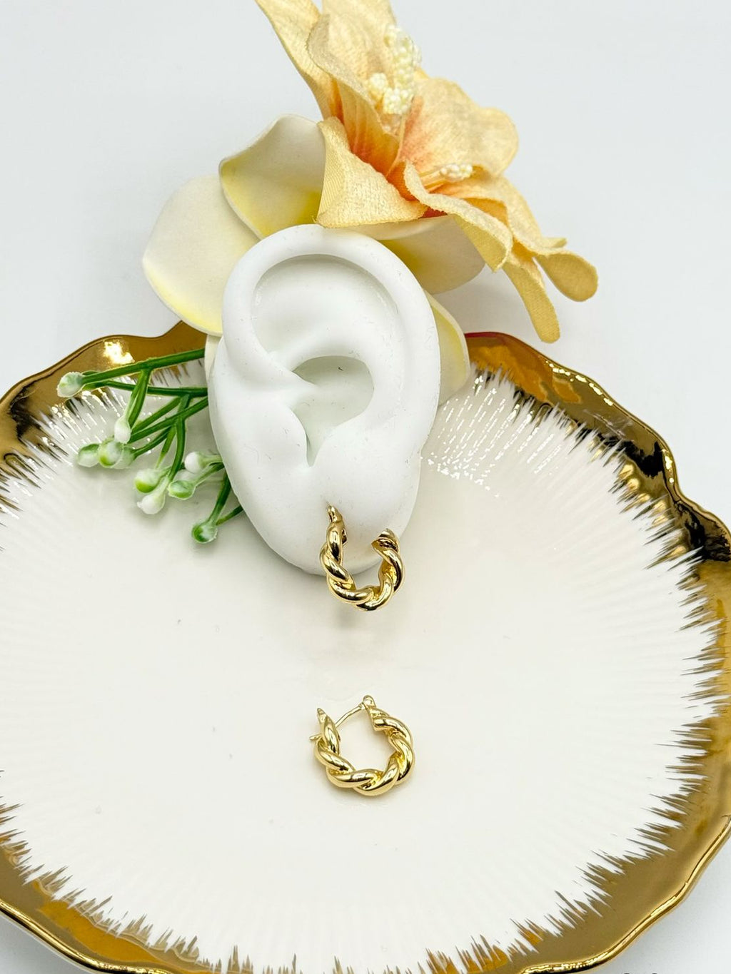 ARETES AISHA